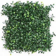 hawthorn-dark-hedge-artificial-ivy-3