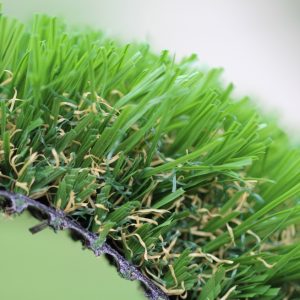 Emerald - 92 Stemgrass