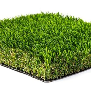 Half Moon Bay 84 - TD