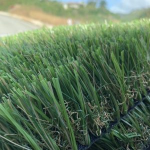 OLIVE - 92 STEMGRASS